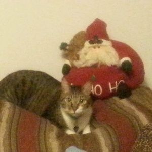 Meet your Posher, Craig